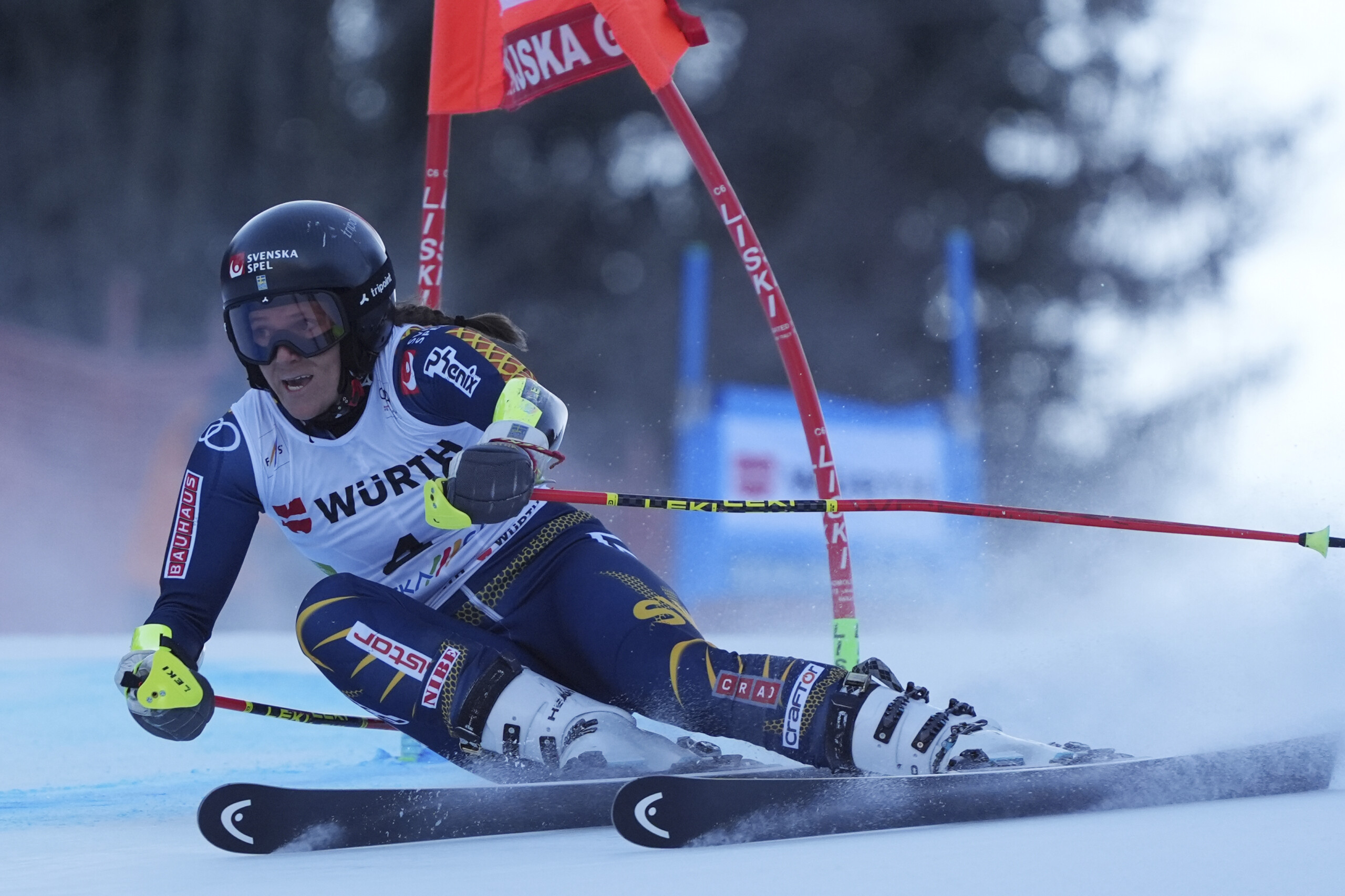 skiing world cup hector wins giant slalom in kranjska gora goggia fifth scaled