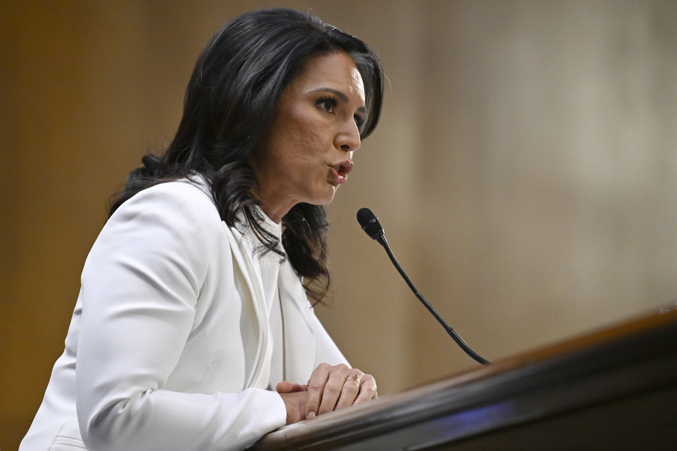 usa senate confirms tulsi gabbard as director of national intelligence scaled