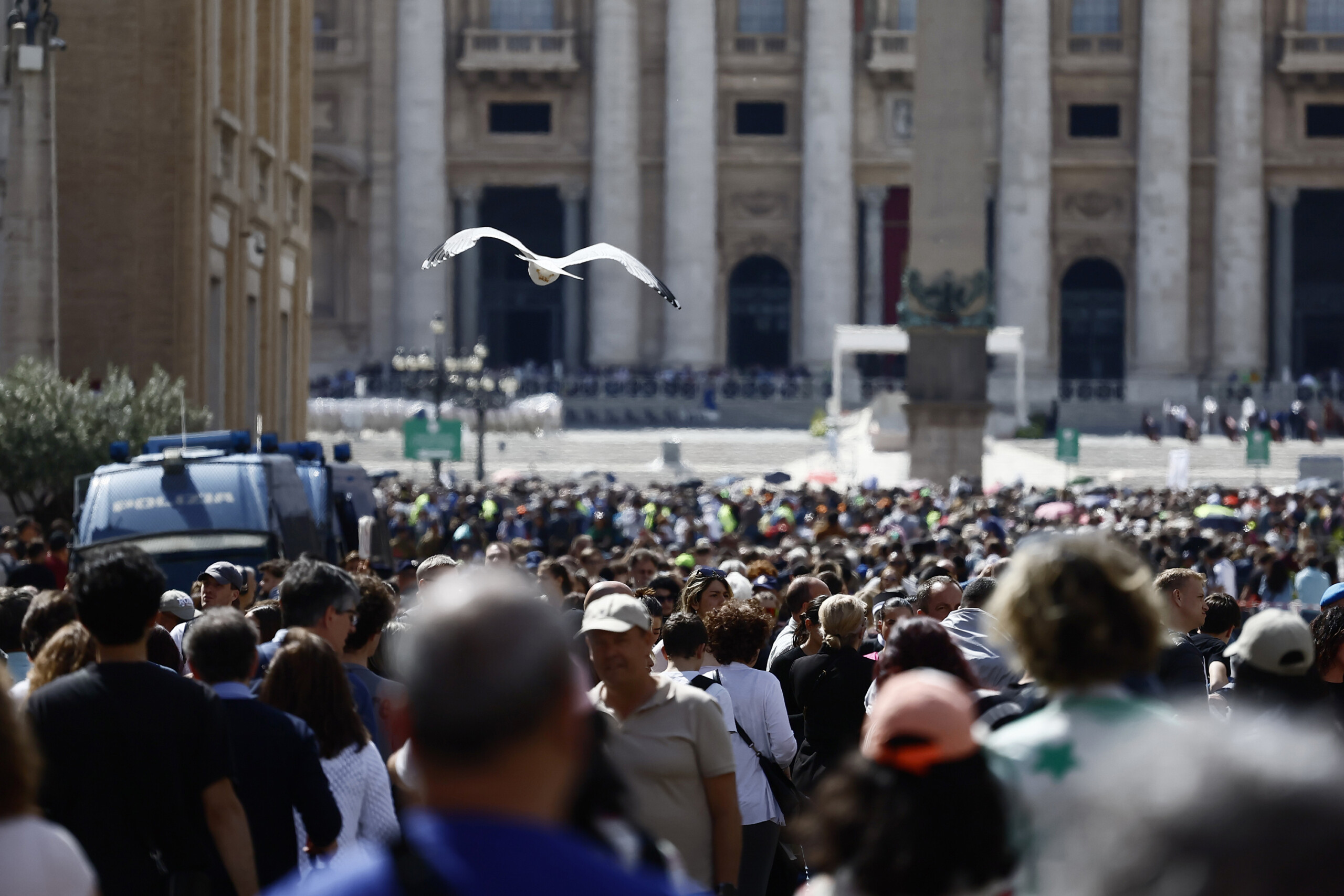 pope francis gualtieri with today in the basilica over 170 thousand presences scaled