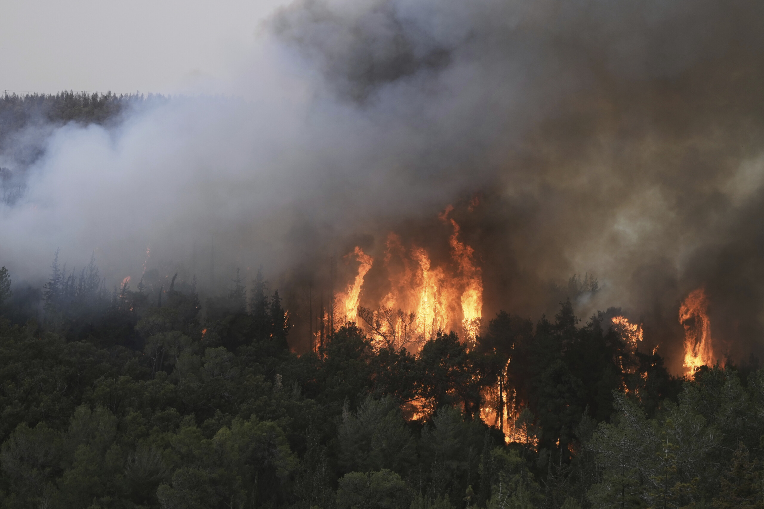 jerusalem fires could be the largest in israels history scaled