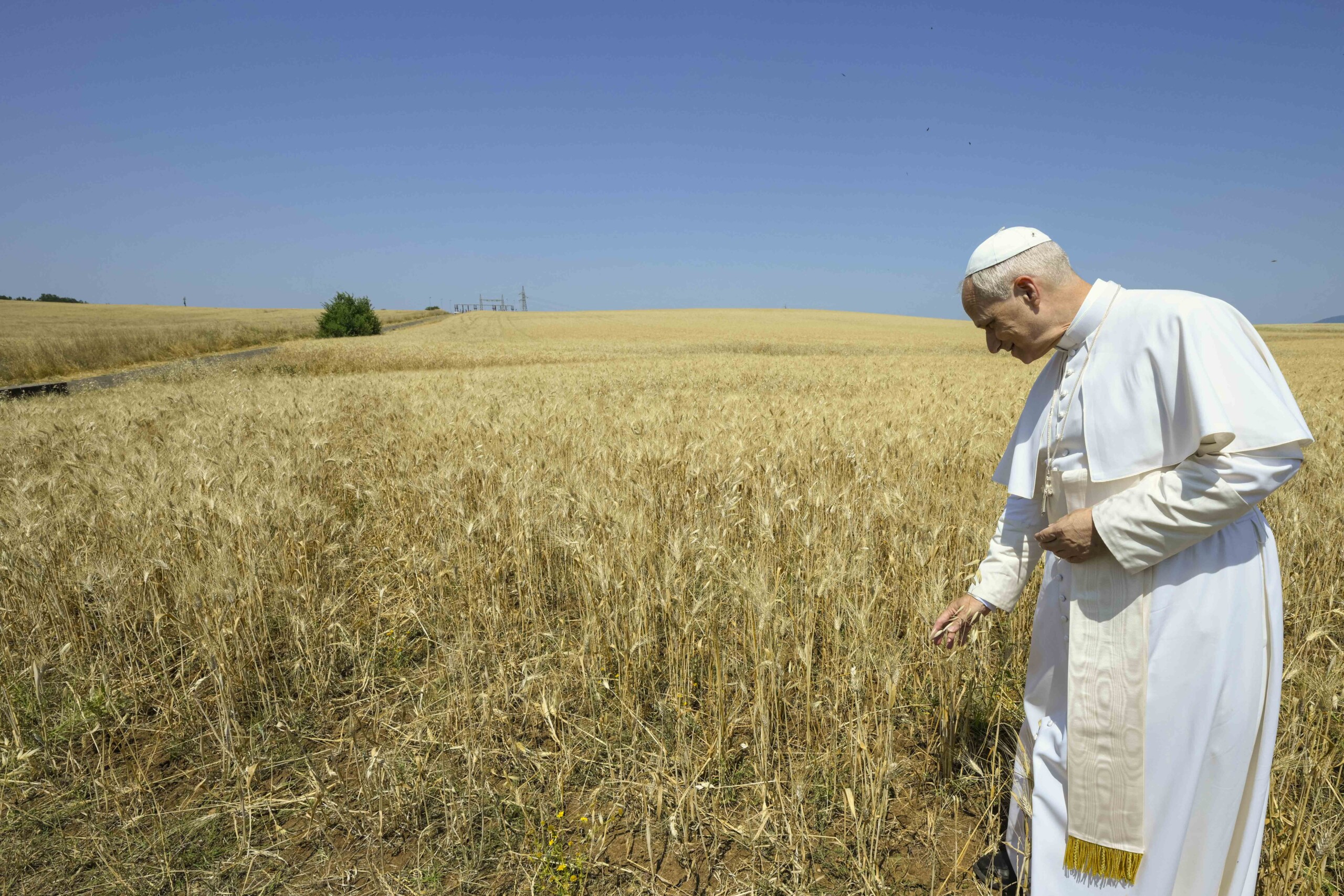pope leo xiv on tg1 lets work together to find solutions to war scaled