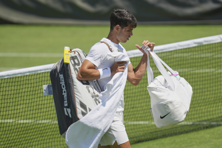 wimbledon alcaraz to fognini great match sorry its your last wimbledon