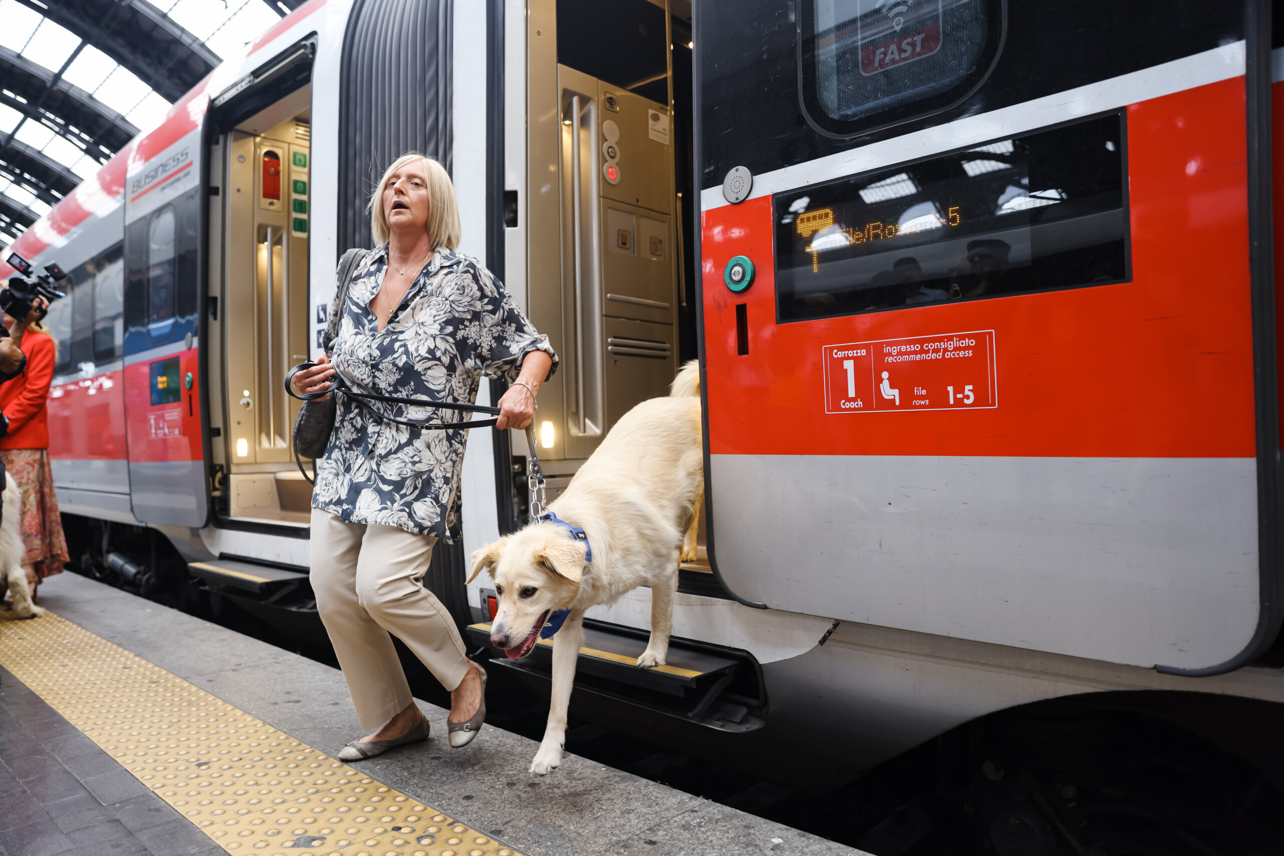 trenitalia dogs travel free on frecce and intercity trains until 15 september scaled
