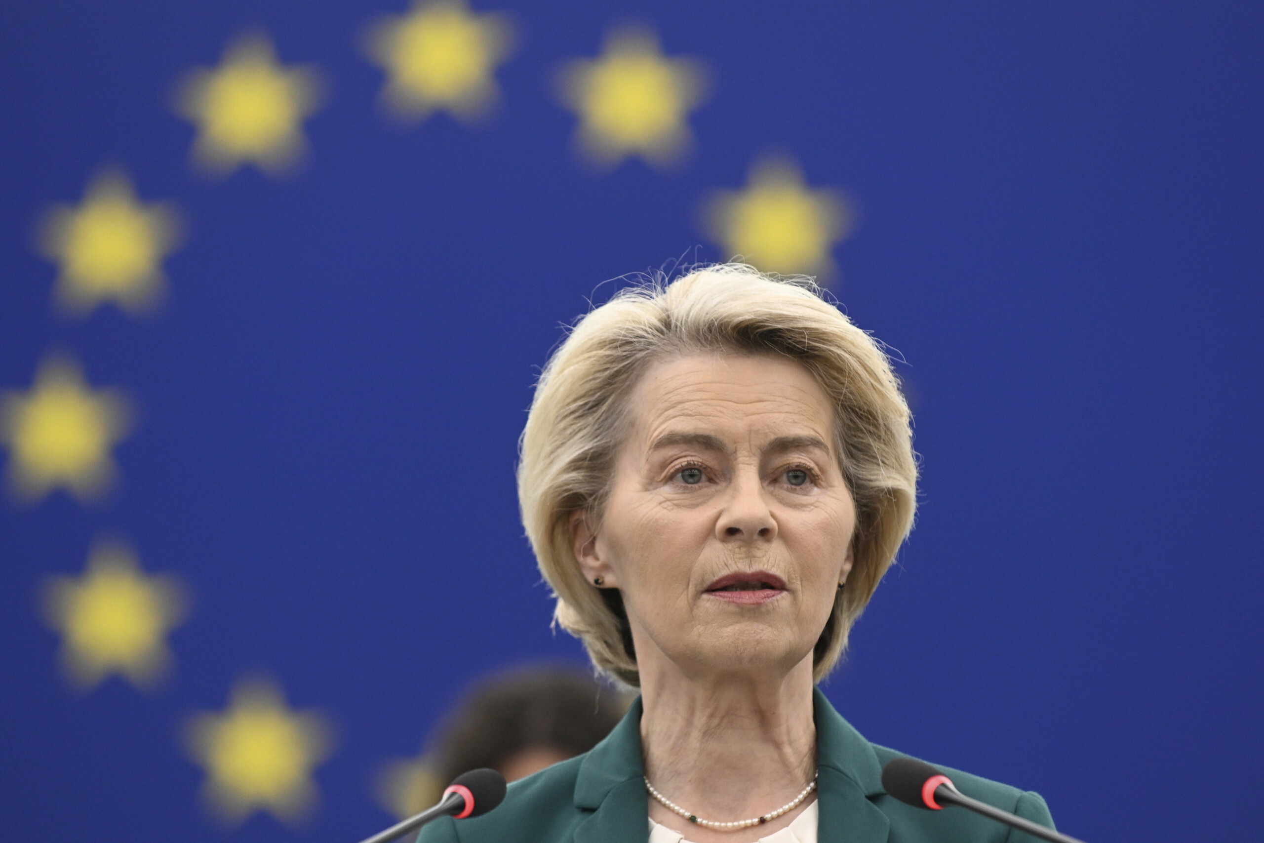 eu von der leyen 100 billion fund for ukraine in the budget scaled