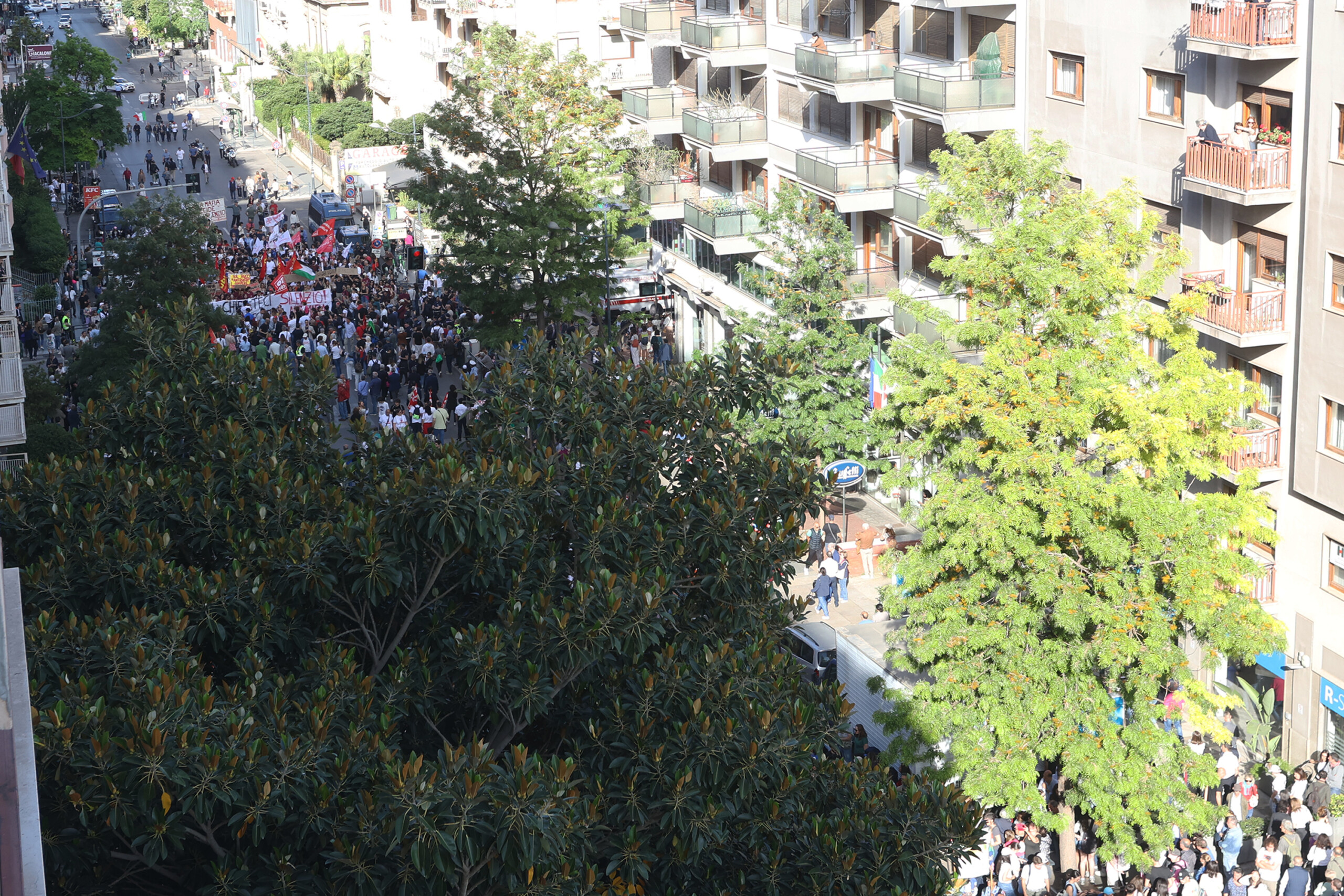 via damelio schlein in palermo tomorrow for commemorations scaled
