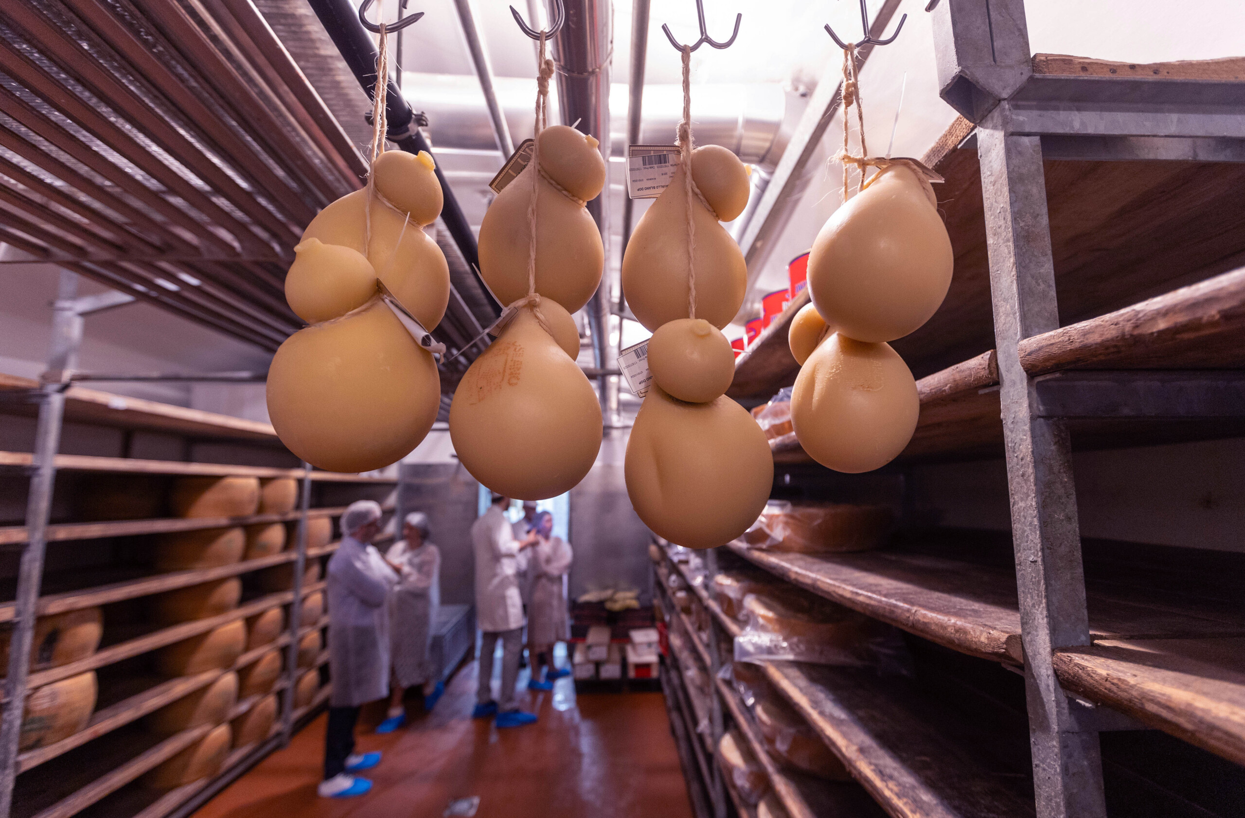 tariffs confindustria weak exports with 30 tariffs us sales down 58 scaled