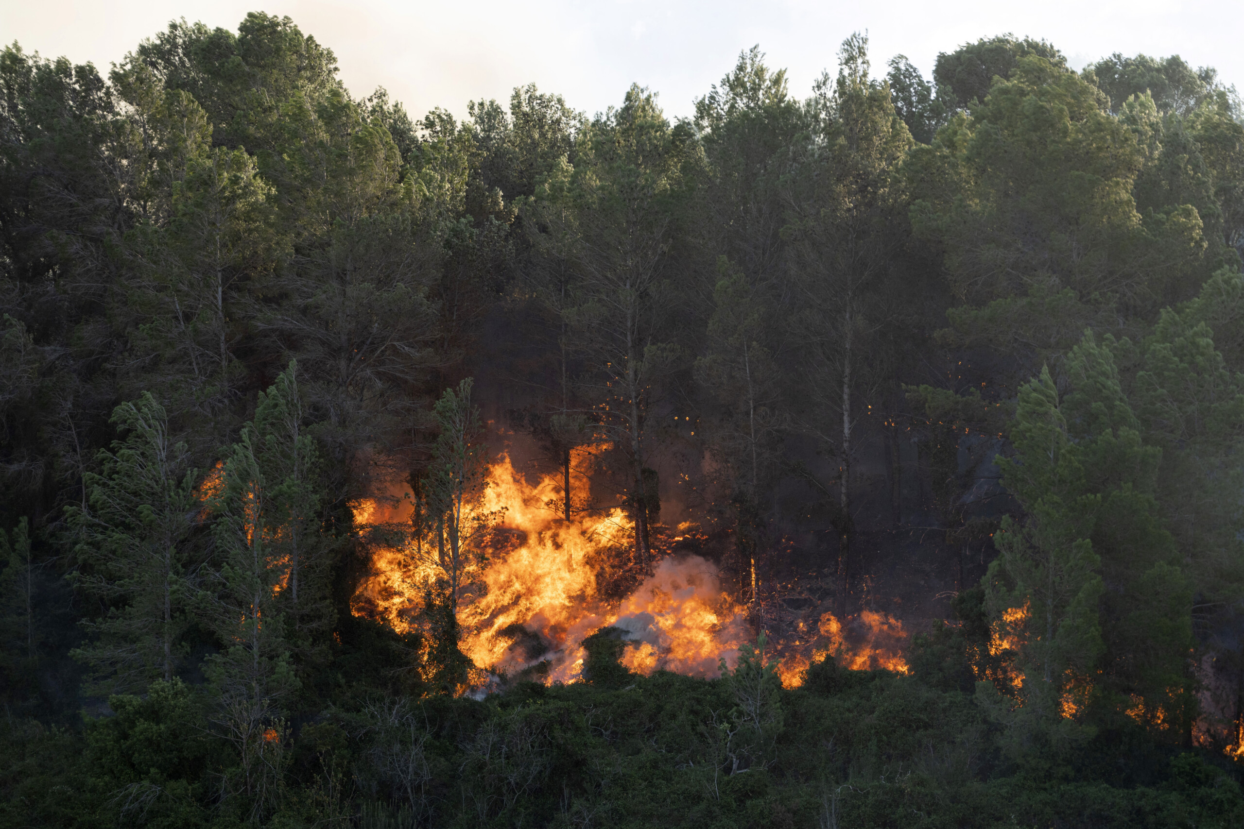 spain fires in multiple regions thousands spent the night away from home scaled