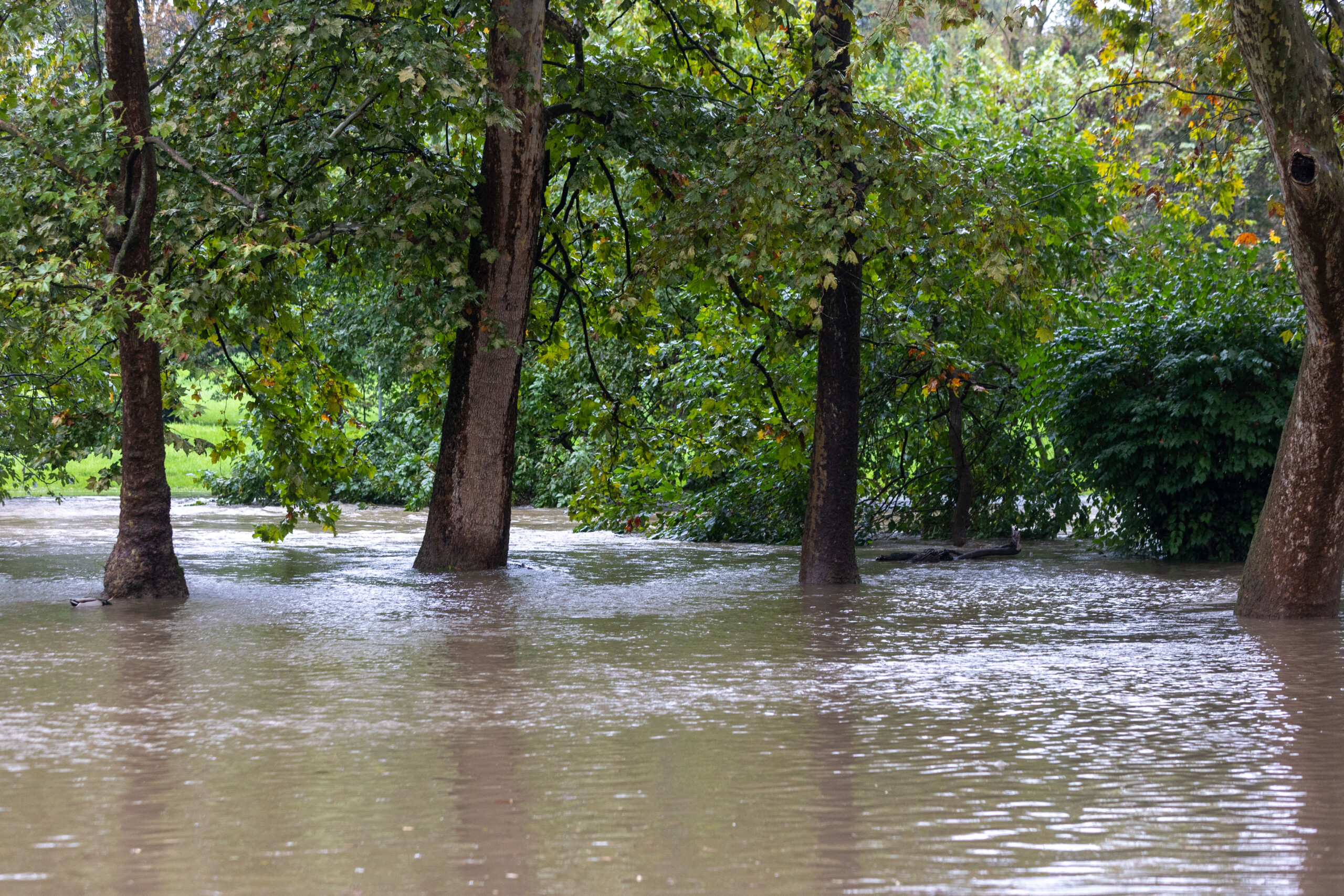 bad weather heavy rain in milan risk of flooding in lambro scaled