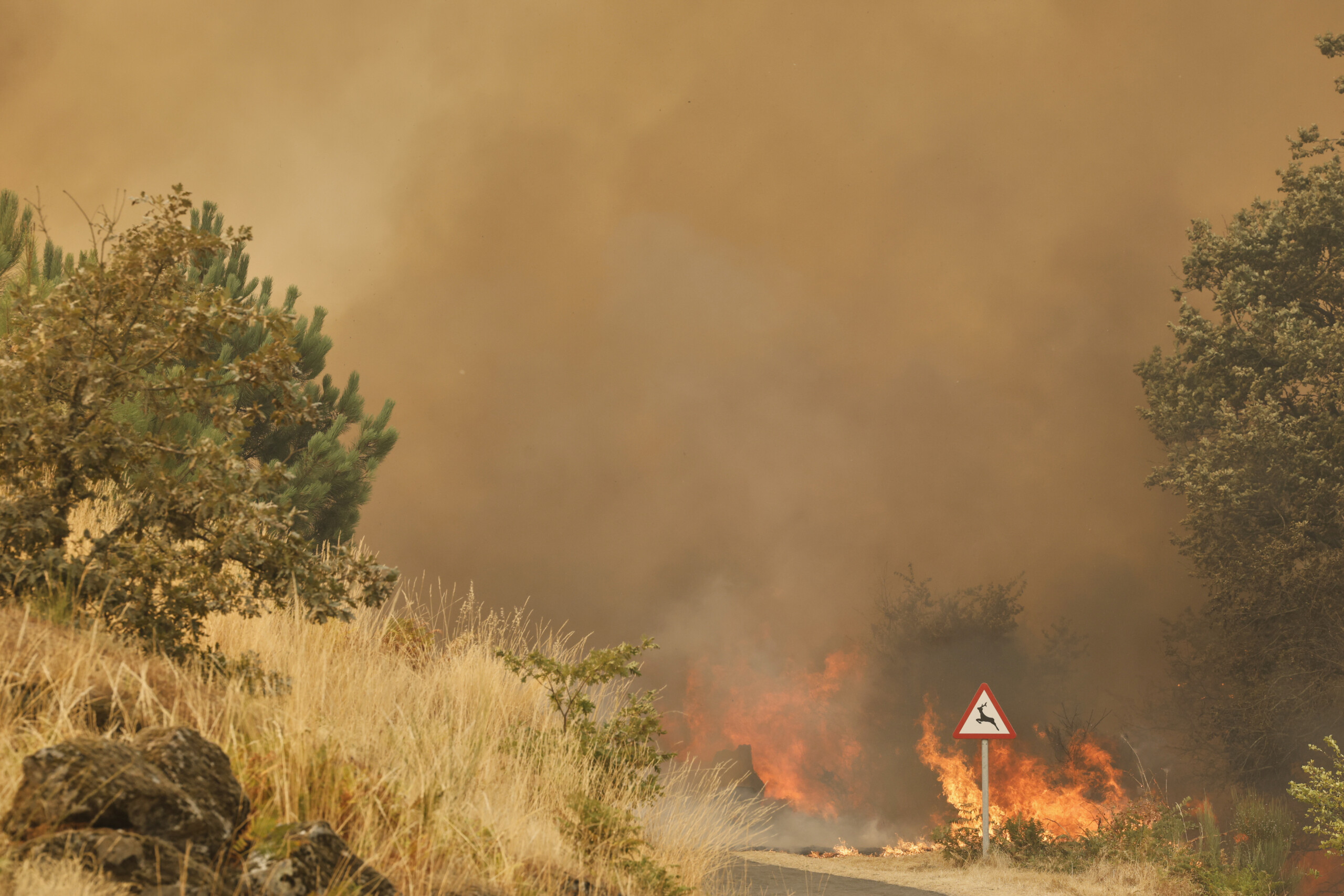spain 2566 residents from 43 municipalities evacuated due to fires scaled