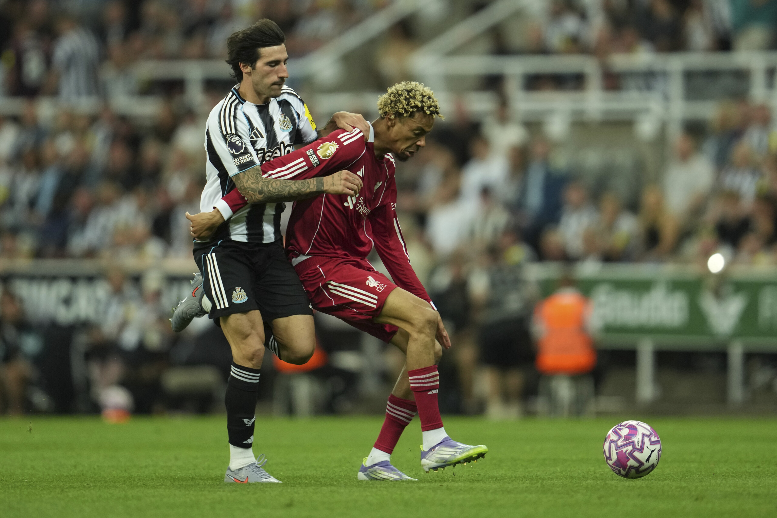 Football: Tonali suffers shoulder injury in Newcastle-Liverpool clash, national team at risk 1 football tonali suffers shoulder injury in newcastle liverpool clash national team at risk scaled