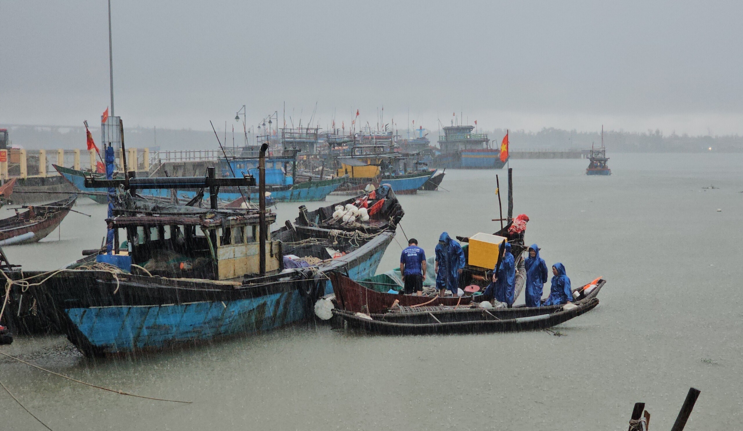 vietnam at least 19 dead from typhoon bualoi scaled