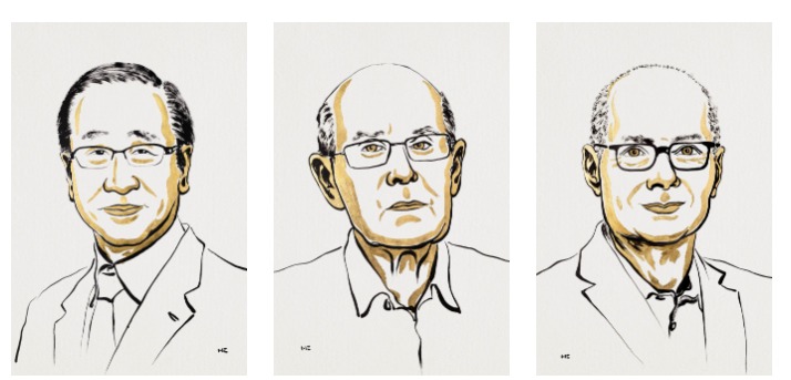 nobel prize in chemistry awarded to kitagawa robson and yaghi