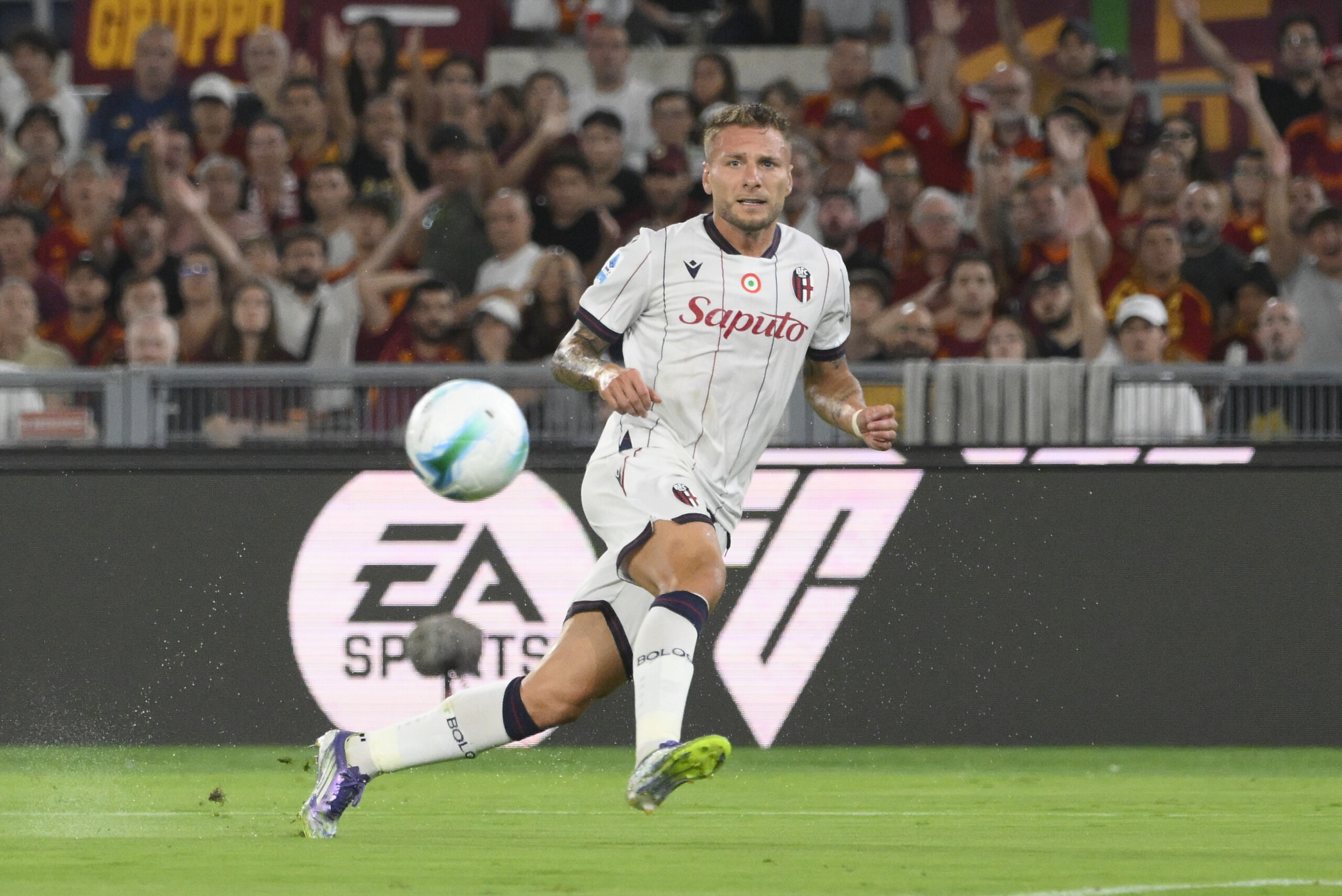 naples immobile saddened by the seizure this takes sport away from children scaled