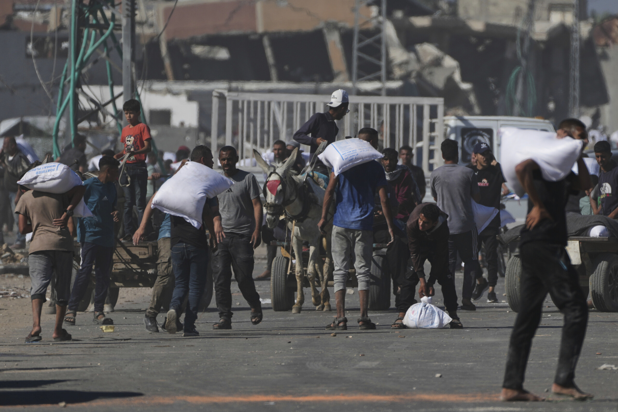 gaza wfp our aid trucks have arrived in the strip scaled