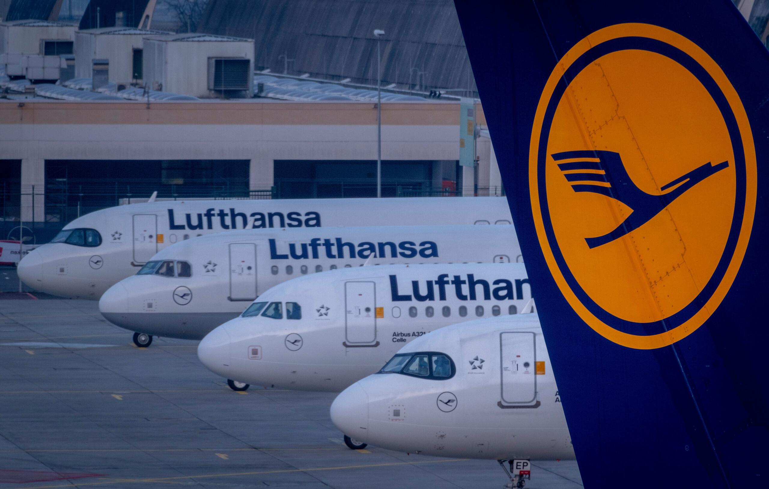 Germany, Bild: Tui and Lufthansa leave Cairo hotel renamed 'Hamas Hotel' 1 germany bild tui and lufthansa leave cairo hotel renamed hamas hotel scaled