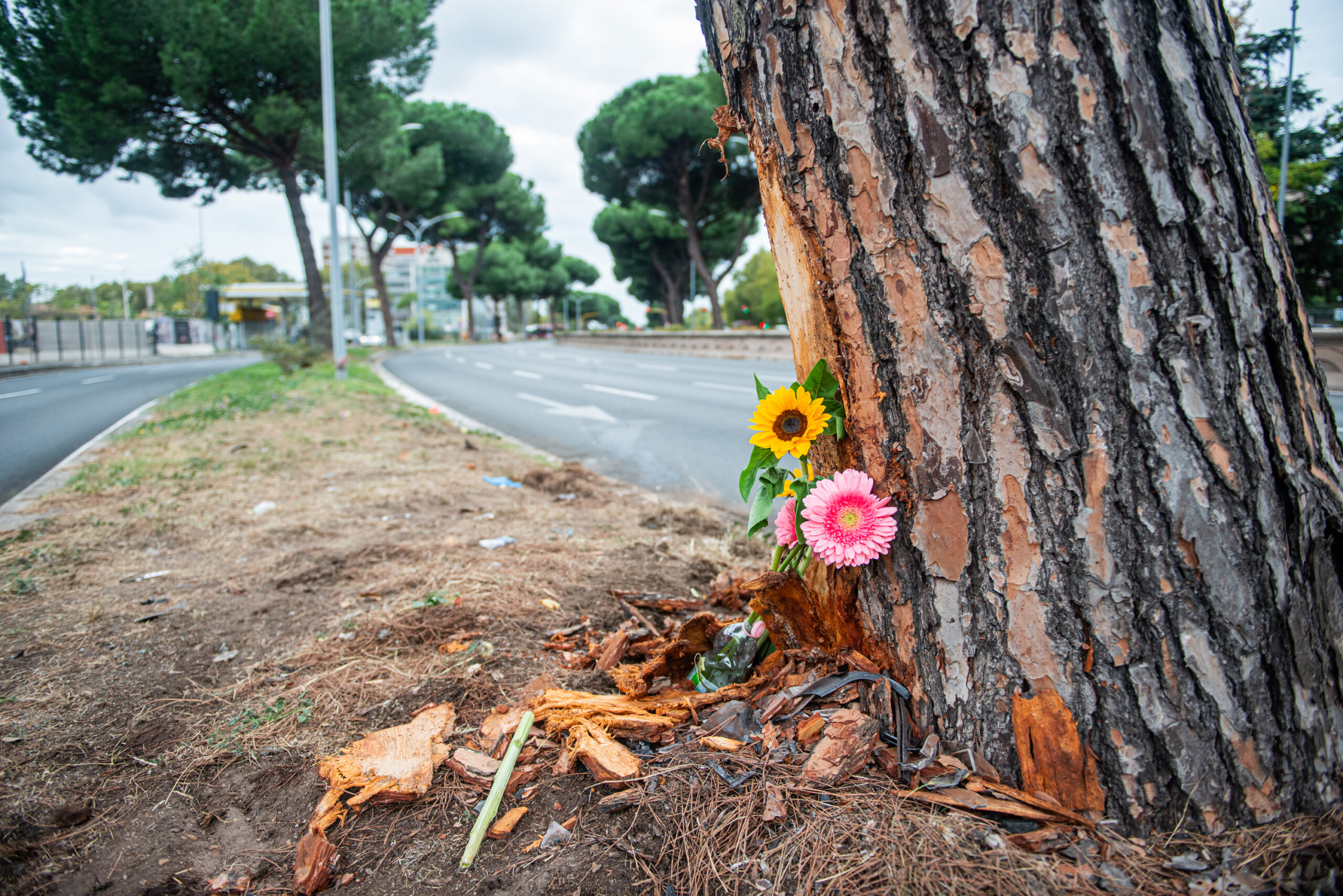 Rome accident: autopsy on 20-year-old woman who died from chest injuries 1 rome accident autopsy on 20 year old woman who died from chest injuries scaled