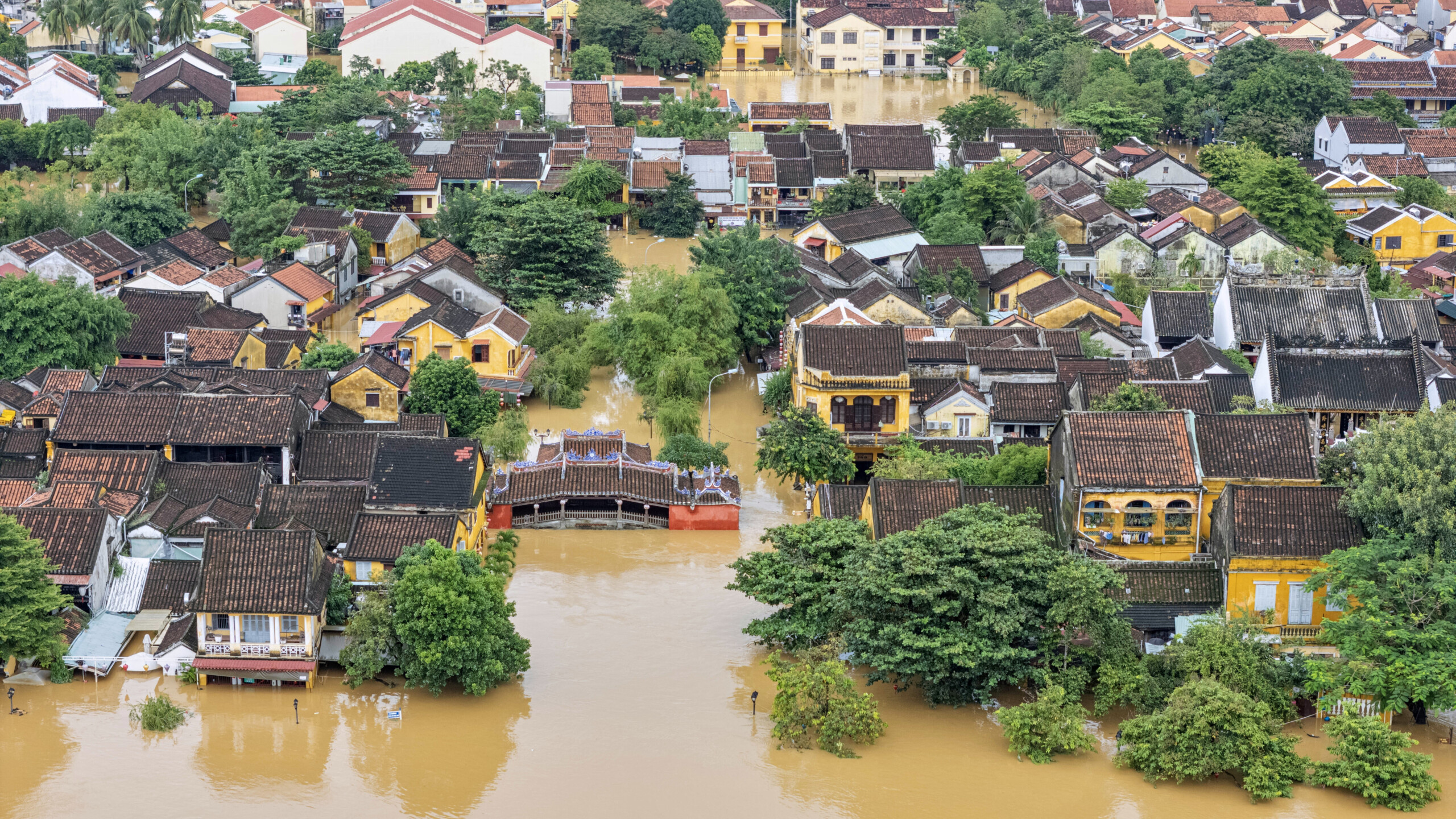 Vietnam, floods and landslides: the death toll rises to 37, with 78 injured and 5 missing 1 vietnam floods and landslides the death toll rises to 37 with 78 injured and 5 missing scaled