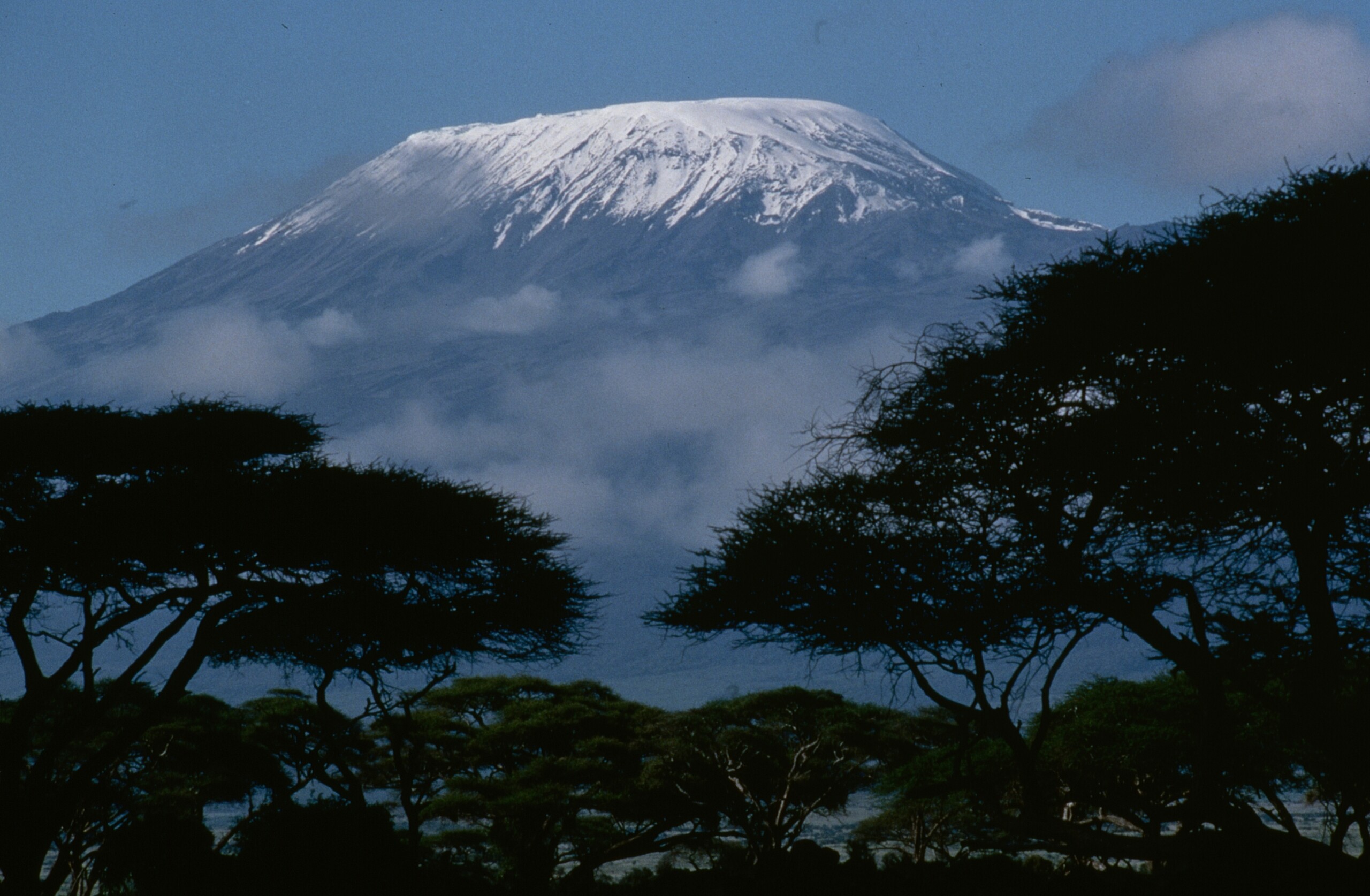 Tanzania: rescue helicopter crashes on Kilimanjaro, 5 dead 1 tanzania rescue helicopter crashes on kilimanjaro 5 dead scaled