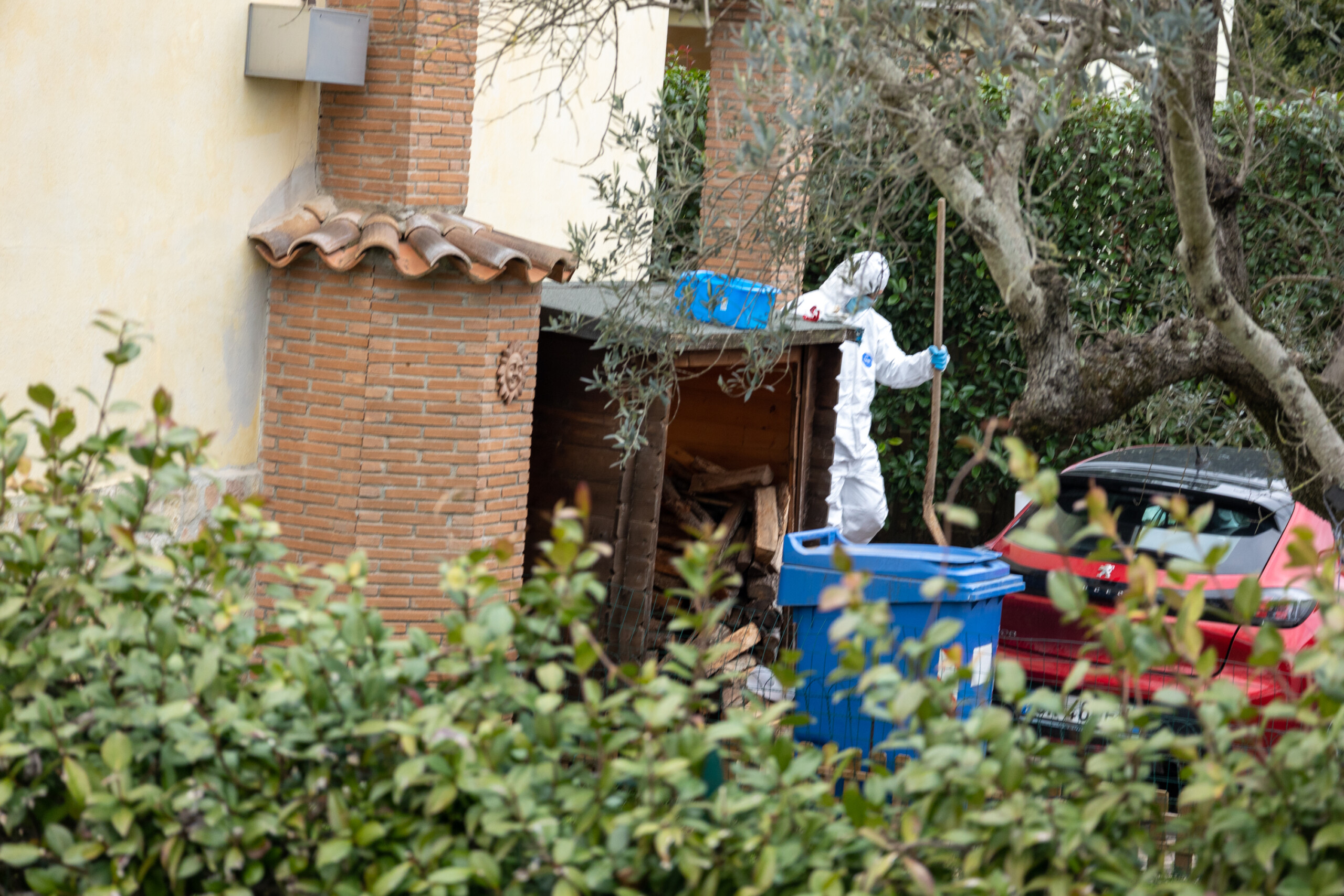 Anguillara, family lawyer: ‘Federica would never have left her son’ 1 anguillara family lawyer federica would never have left her son scaled