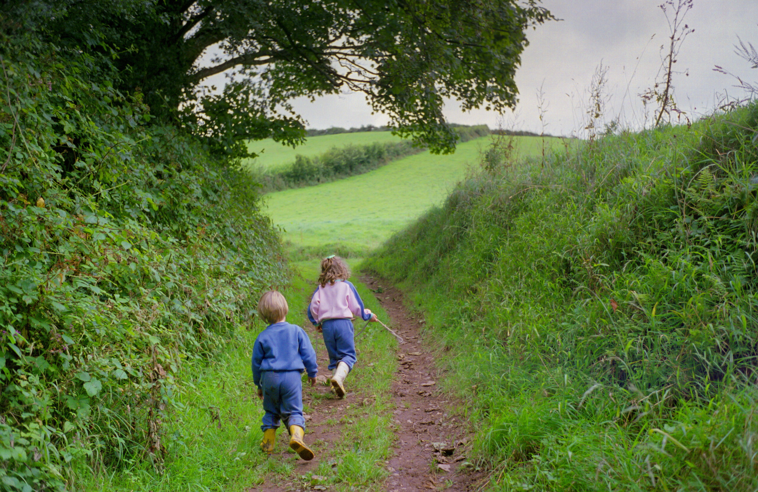 United Kingdom: children will be able to choose their gender as early as primary school 1 united kingdom children will be able to choose their gender as early as primary school scaled