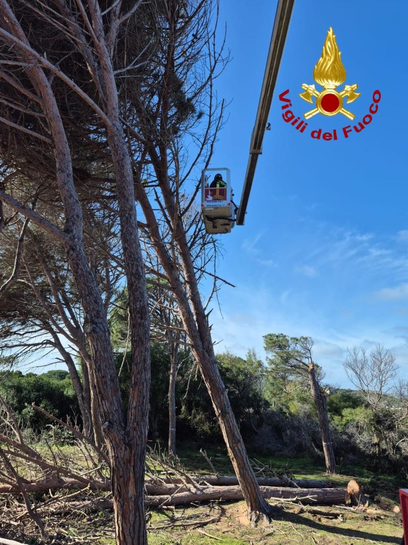 bad weather wind and rain over a thousand interventions in sardinia