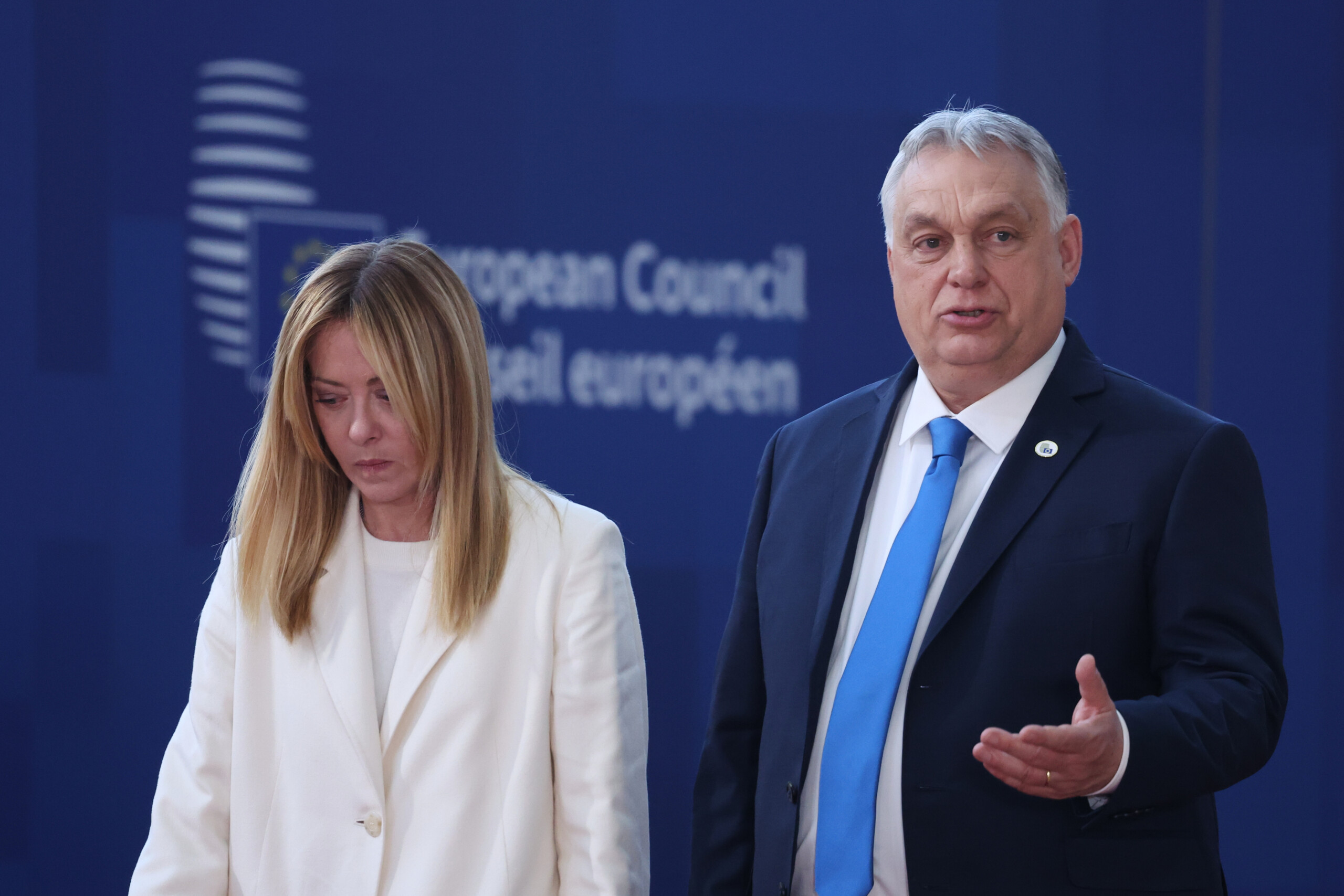 ukraine sources say meloni has expressed sympathy for orban but p chigi denies this scaled