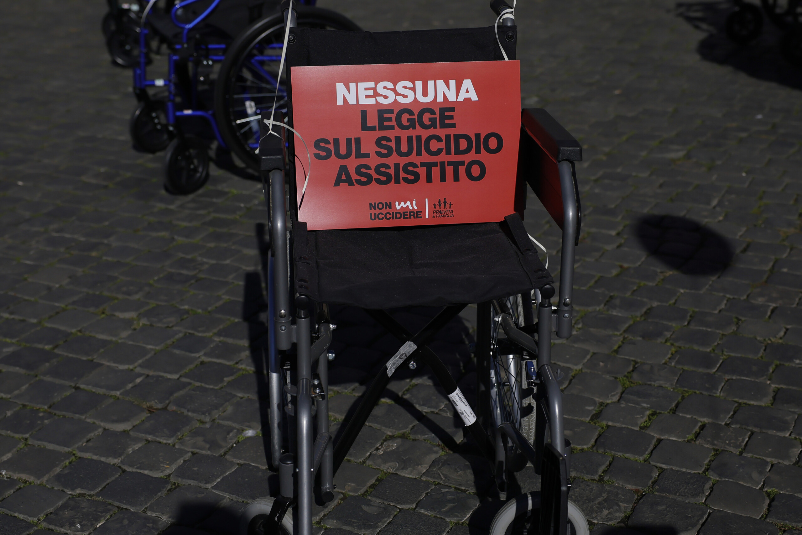 End-of-life: “Libera” has died, the first case in Italy involving an ocular implant 1 end of life libera has died the first case in italy involving an ocular implant scaled