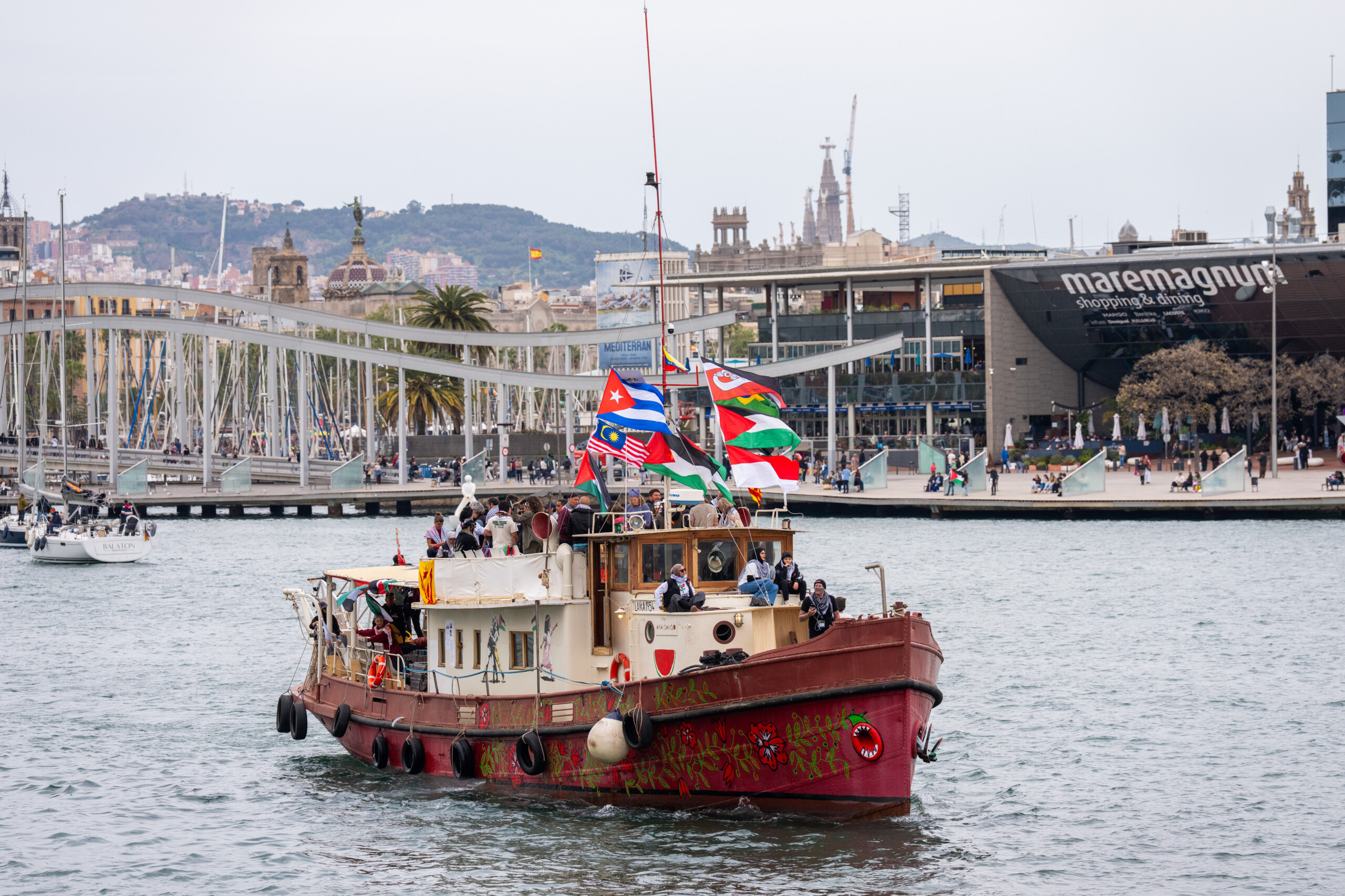 flotilla activists subjected to 40 hours of abuse and cruelty scaled