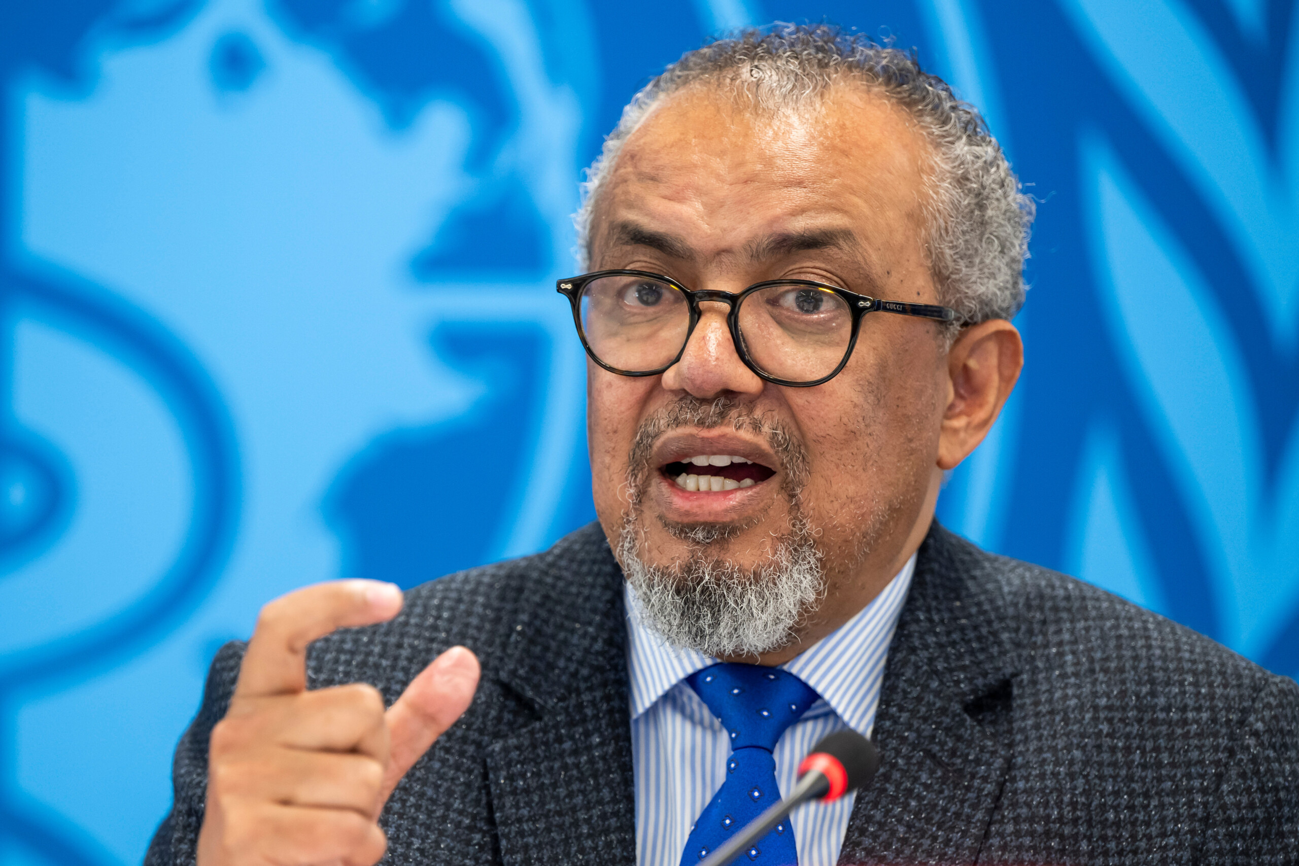 hantavirus who director general global health risk remains low scaled
